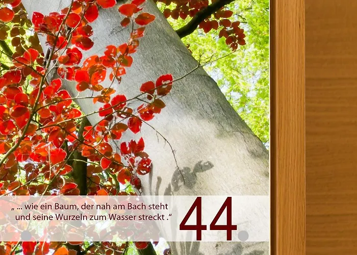 Apartamento Felaria Samnaun