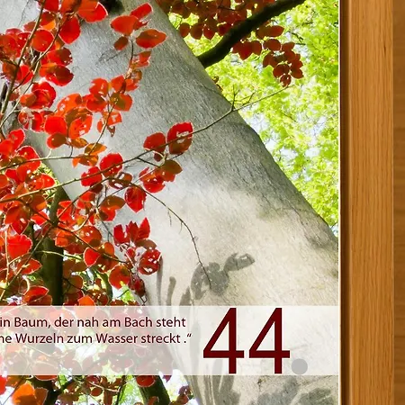 Apartman Felaria Samnaun